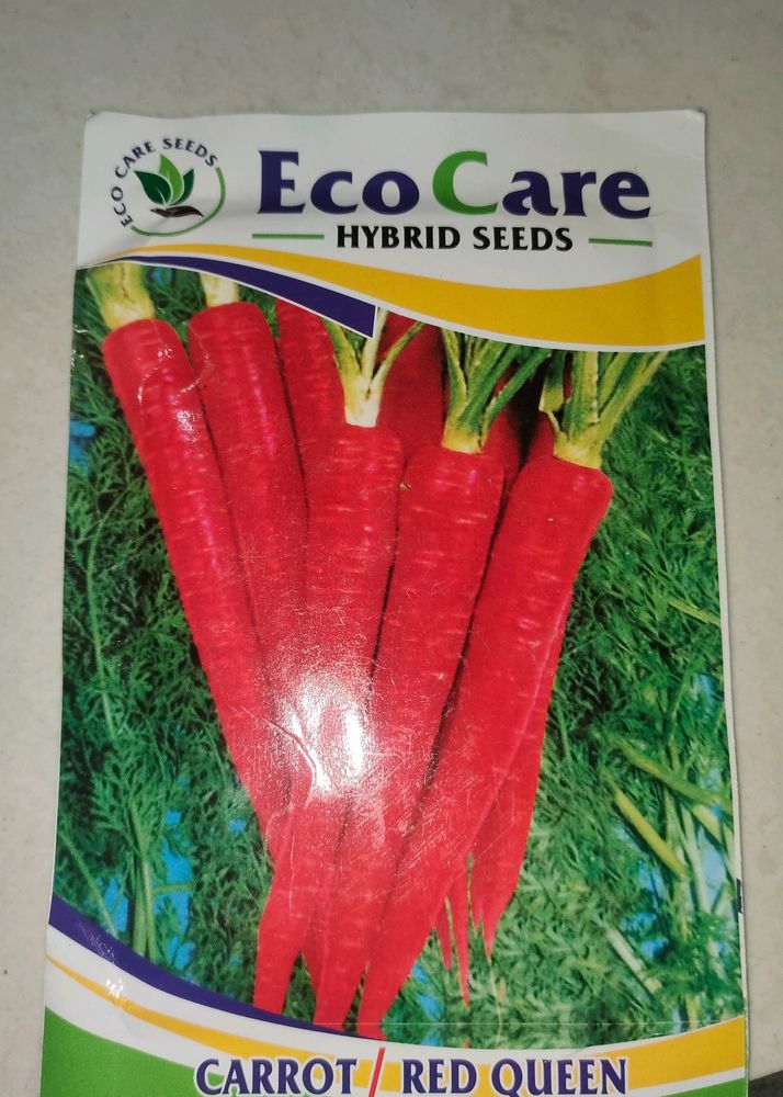 Carrot Seeds