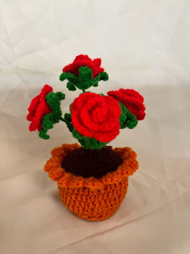 Roses Pot