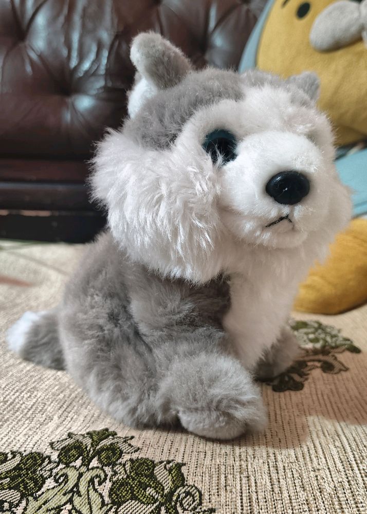 Husky Dog Plush