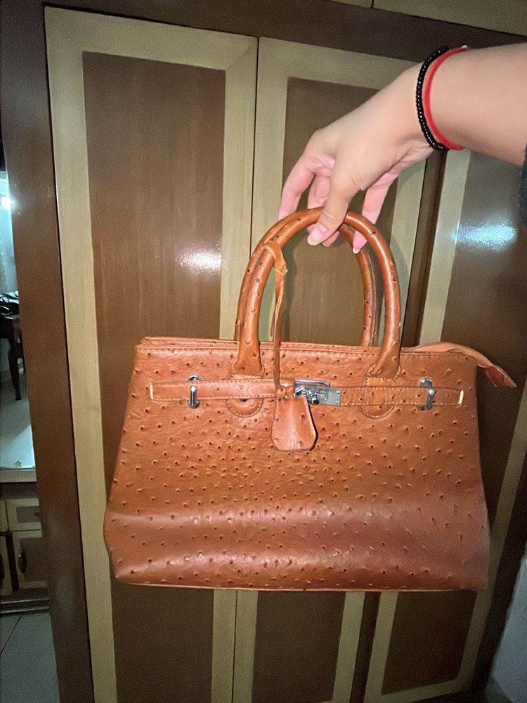 Crocodile Leather Purse