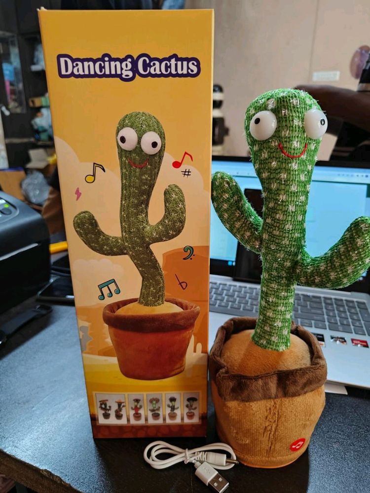 Dancing Cactus