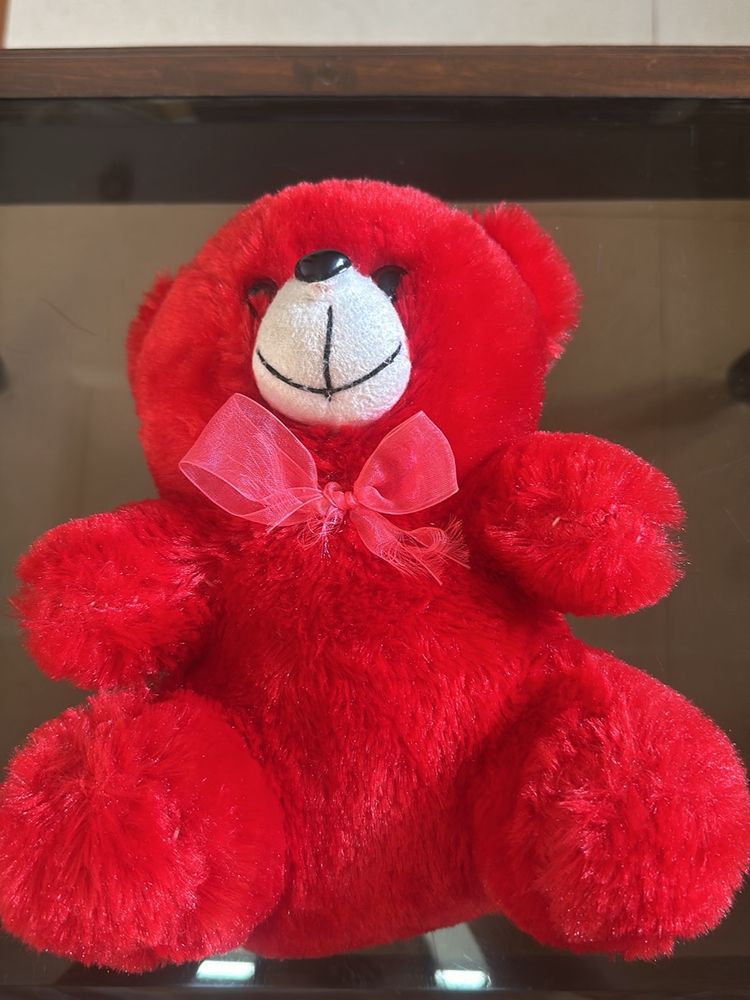 Red Teddy