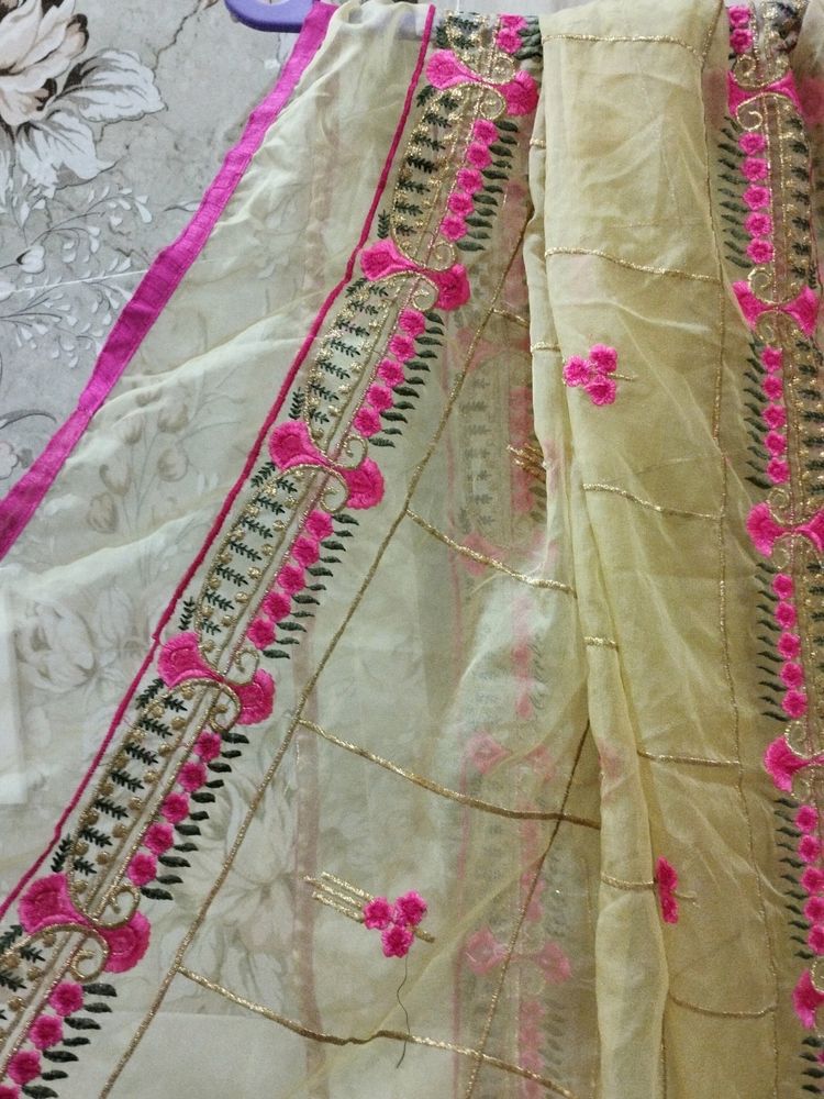 Organza Embroidered Very Beautiful Designer Duppata