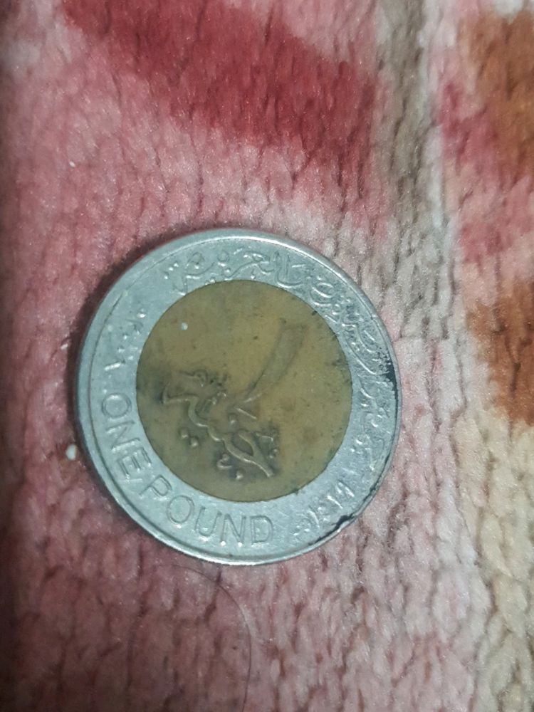 Egyptian One Pound