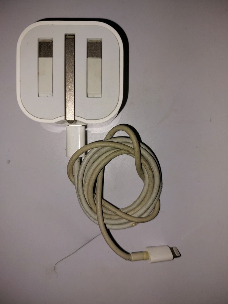 Apple Original Charger