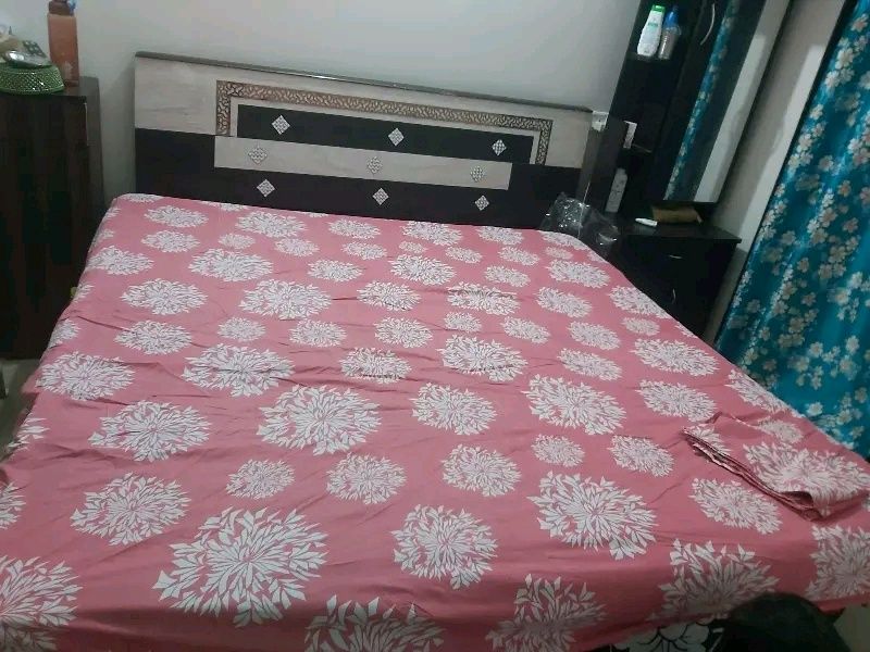 Elastic Fitted Bedsheet With 2 Pillow Cover