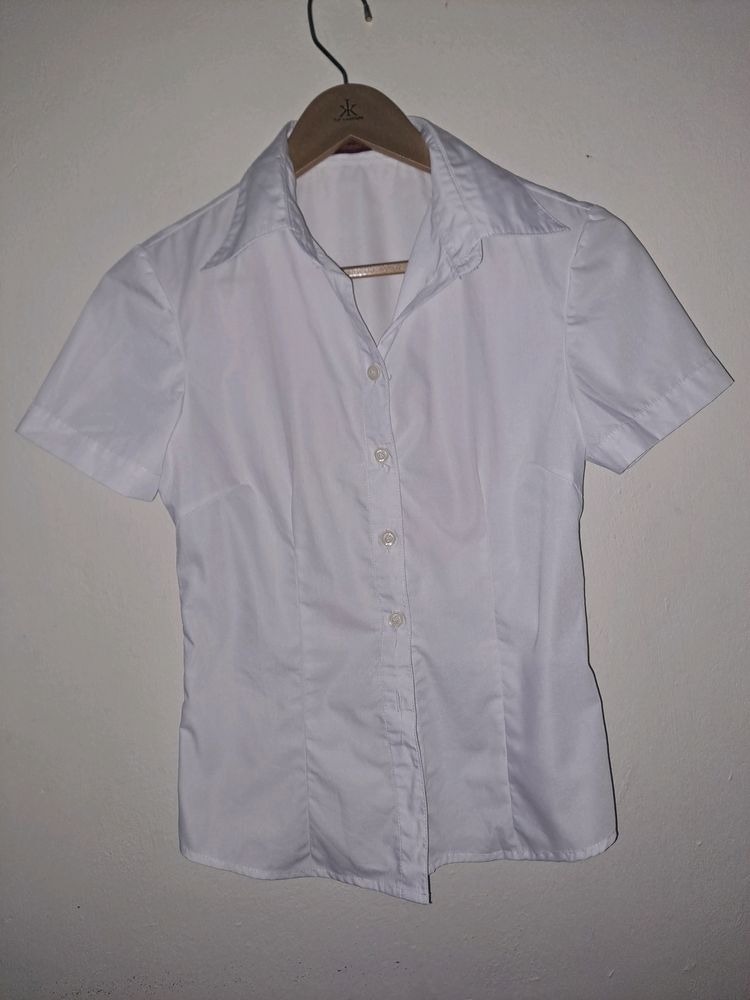 Fitted Collared Shirt