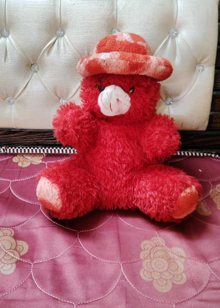 Red Teddy