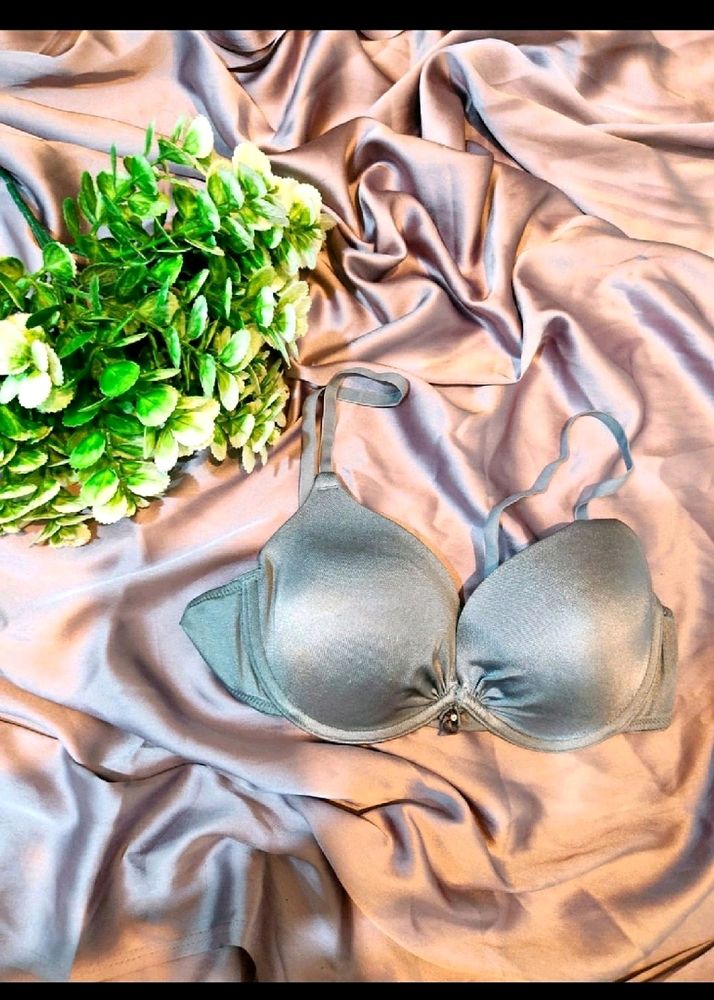 Silver Bra