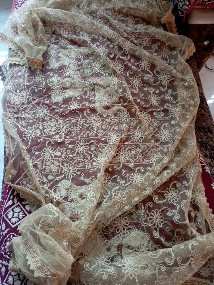 Beautiful Thread Embrioded Golden Net Dupatta