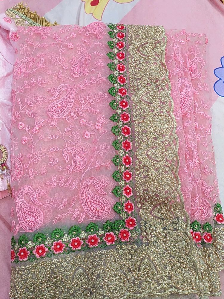 Beautiful  Light Pink Net Saree