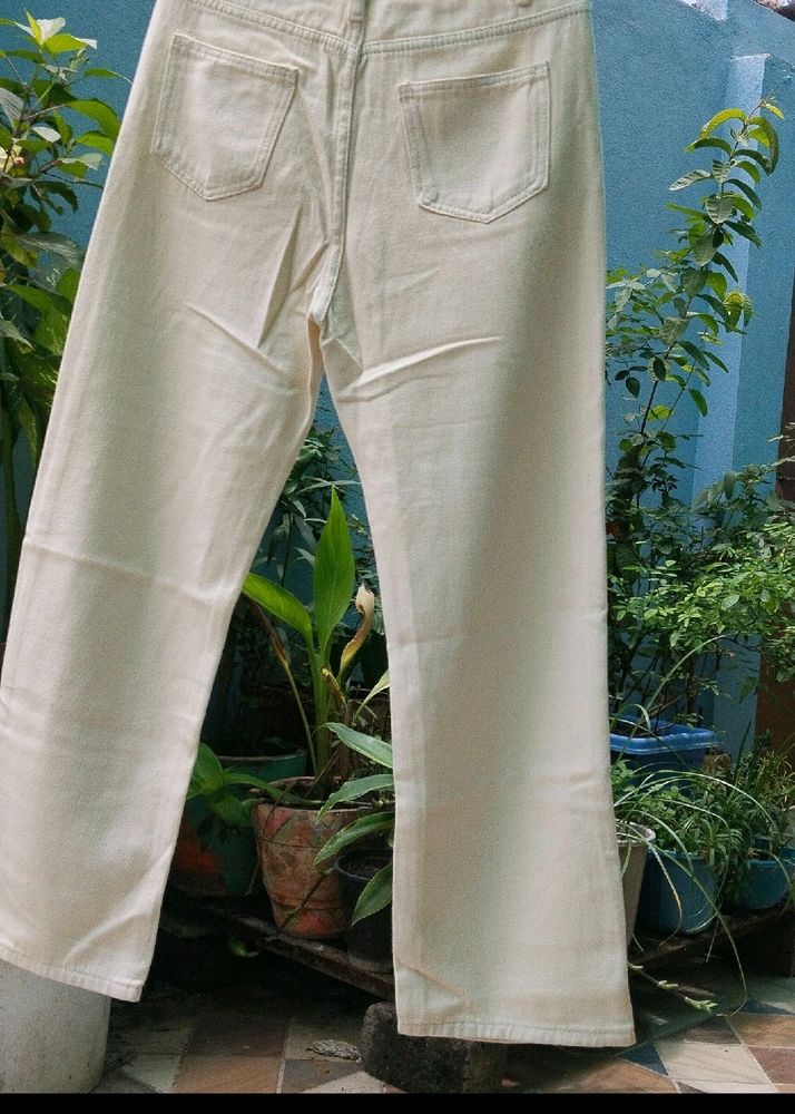 Formal Pant For Girls