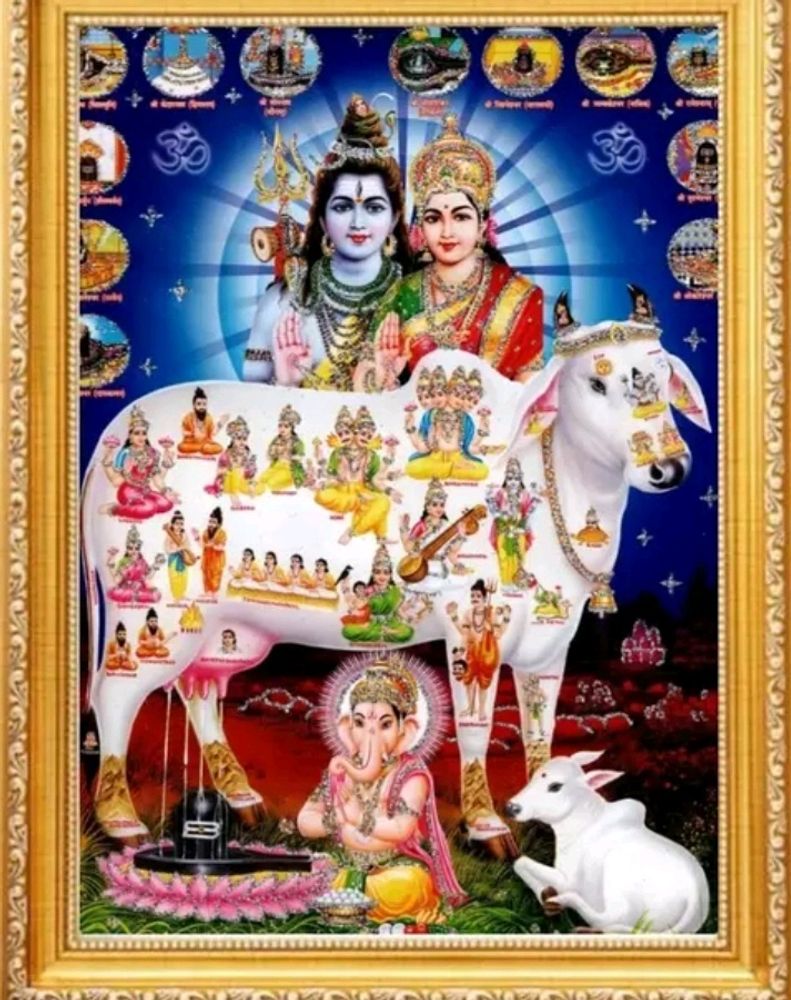 Shiv Parvati Devi Devta Photo Frame Pooja