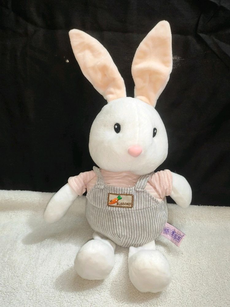 Cute Bunny Plushie