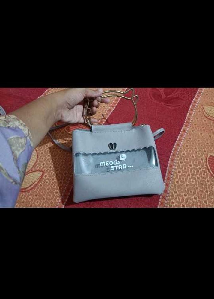 Woman Grey Sling Bag