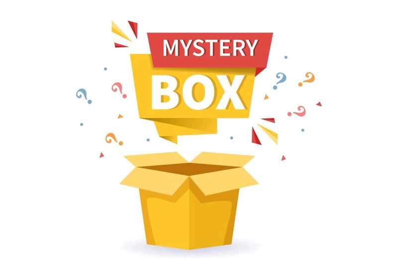 Mystery Box (Value For Money)