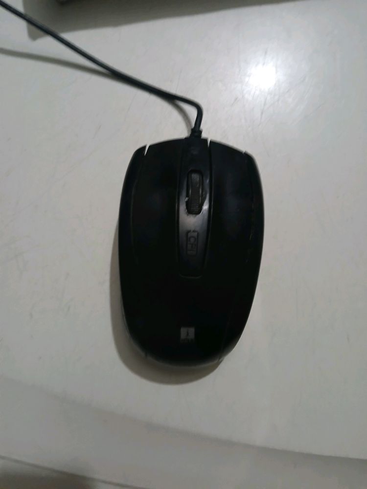 Mouse For Sale