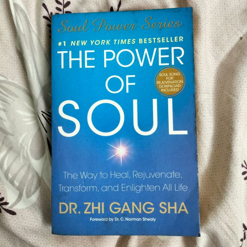 the power of soul book