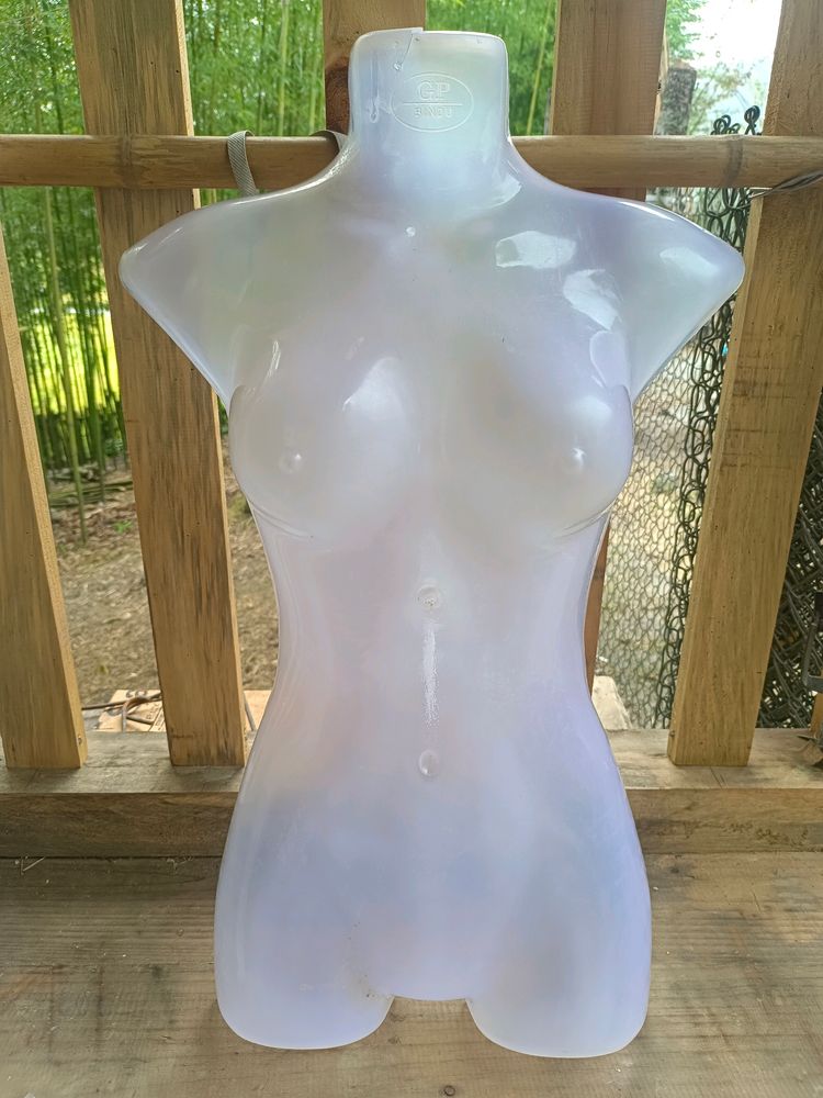 Female Mannequin(Neck Entirely Damaged)