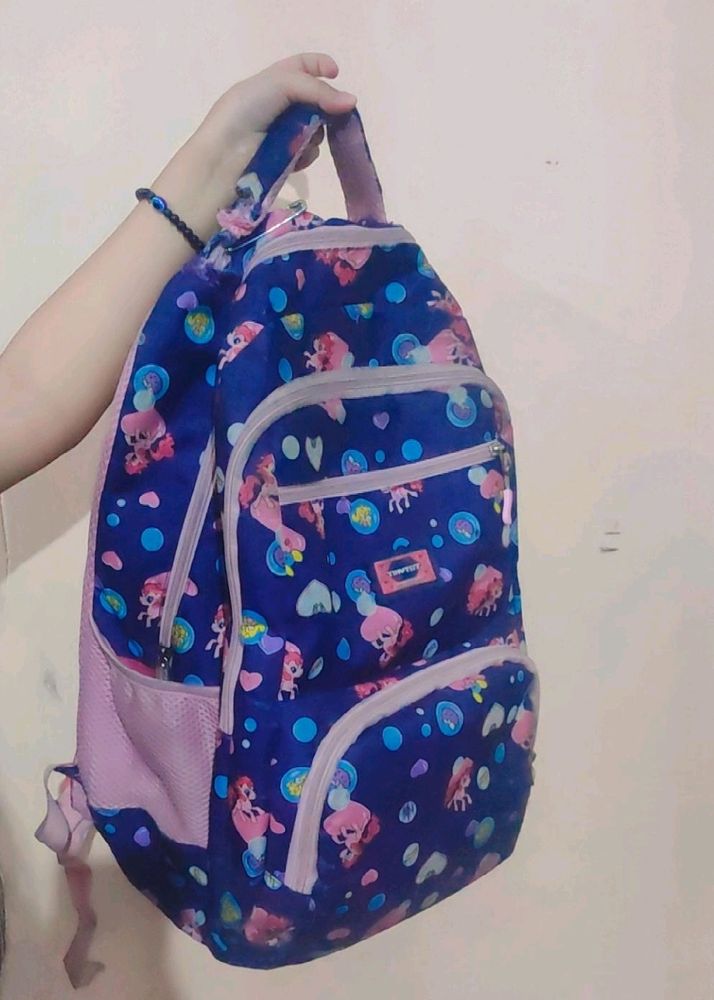 School Bag 5th To 8th Standard