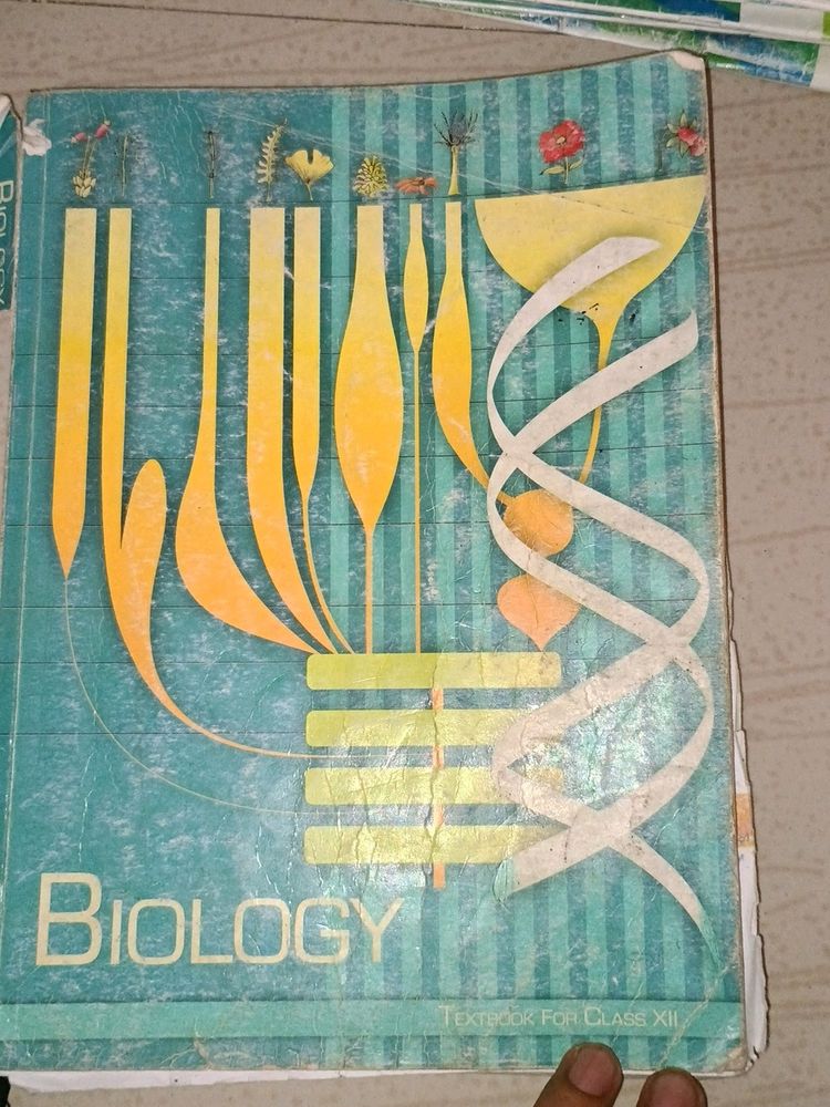 Ncert Biology Class 12 ...Used