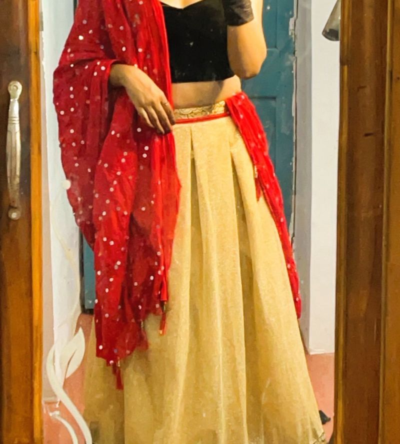 Lehenga Set