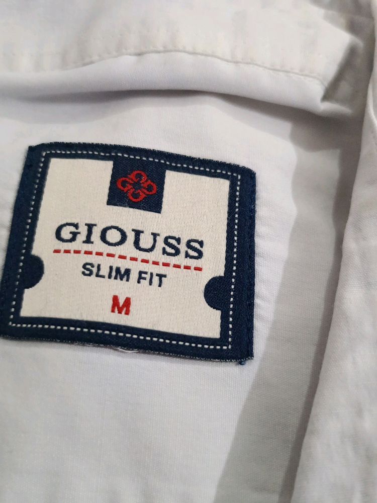 Slim Fit (Giouss) Semi White T Shirt