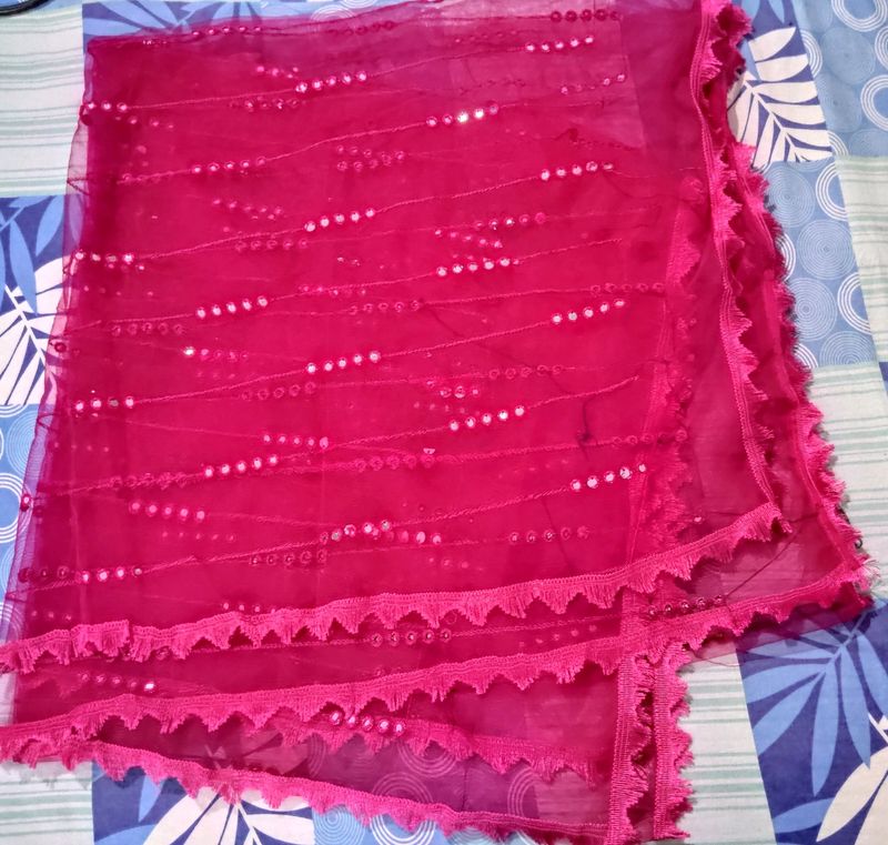 Rani Pink Net Mirror Work Rajasthani Dupatta