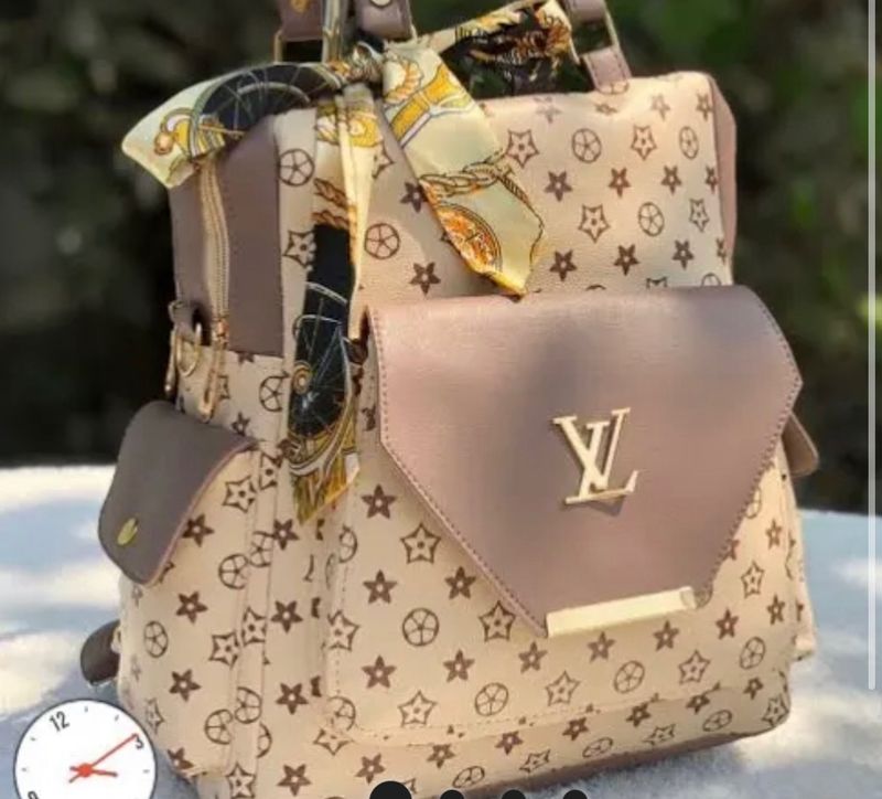 Loius Vuitton Backpack/ Handbag