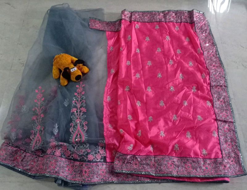 Net/ Sana Silk Saree