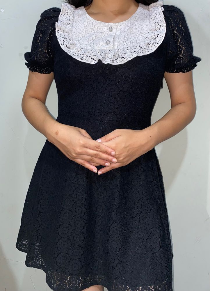 Ruffled Collar Mini Lace Dress