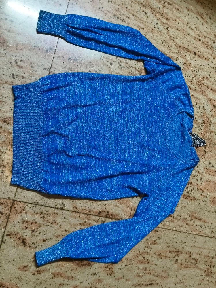 Blue Sweat Shirt