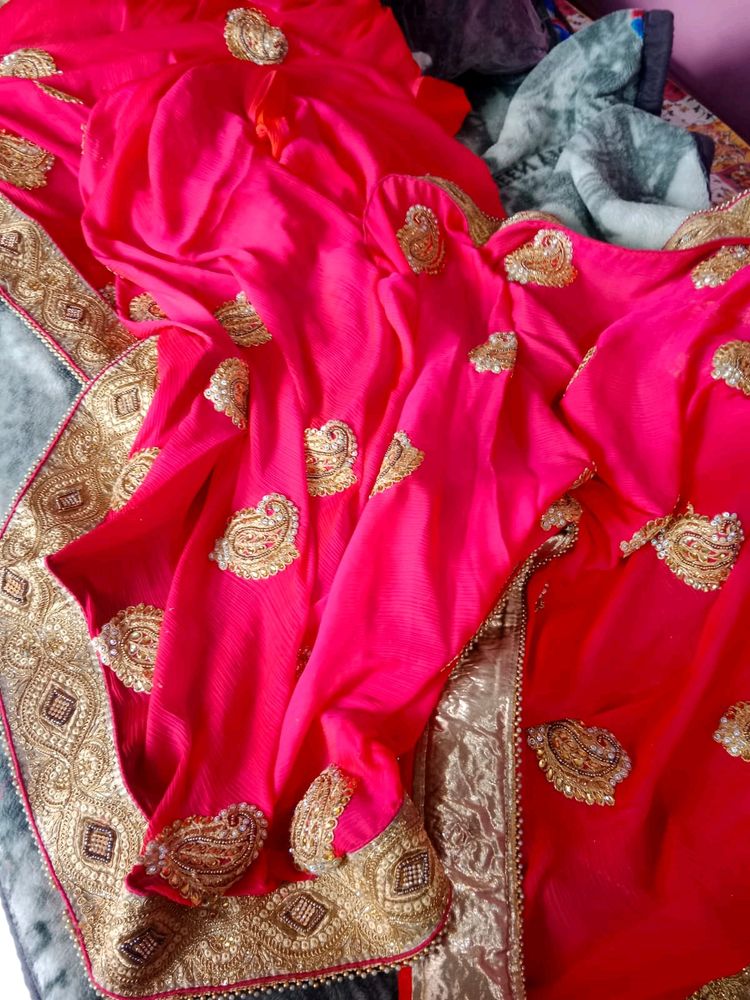 Pleated Heavily Work Saree