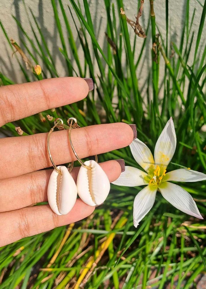 Cowrie Shell Hoop Earrings