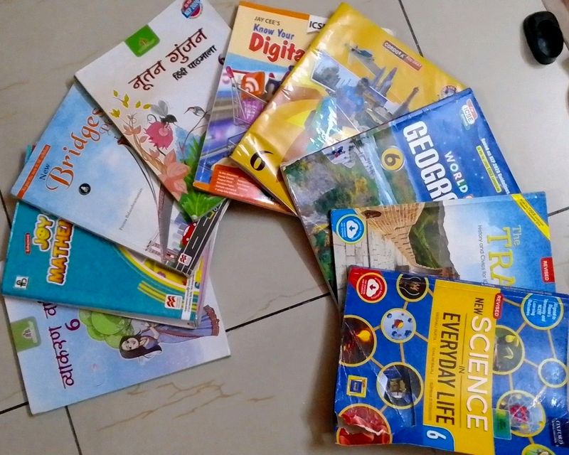 ICSE Grade 6 Textbooks