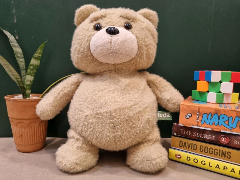 Ted Plush Toy From Ted2