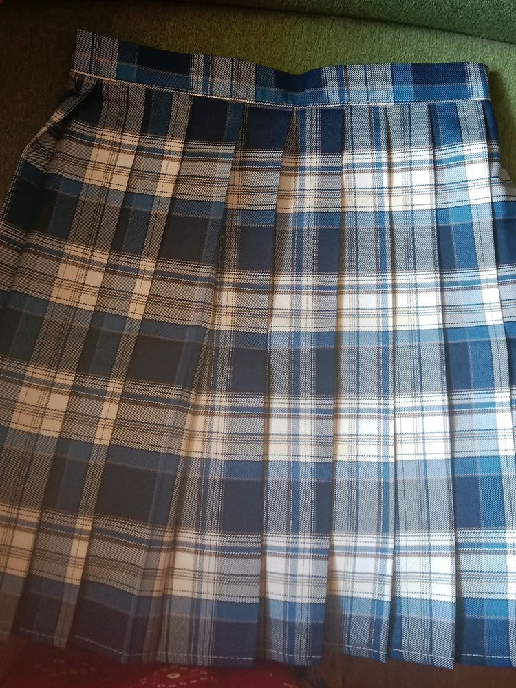 Korean Skirt Brand New