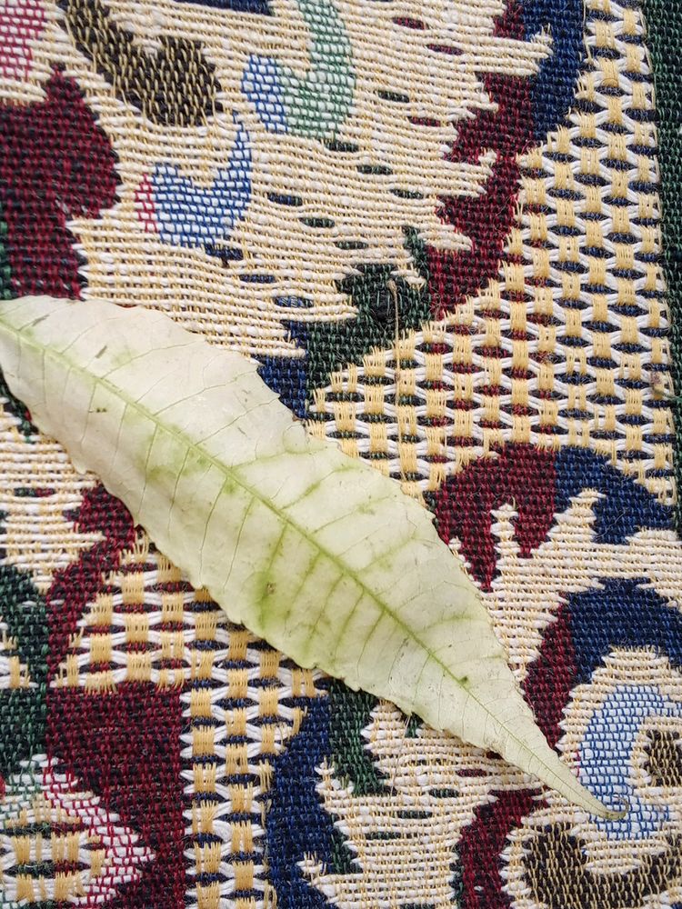 Mythic Leaf