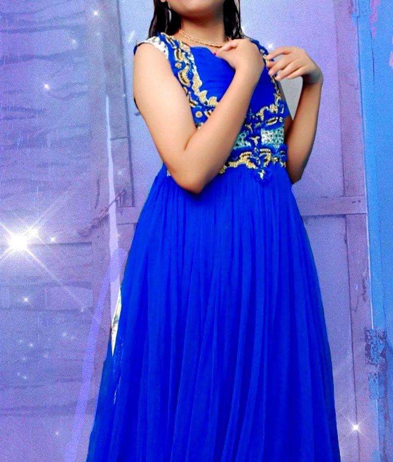 Beautiful Blue Colour Princess Gown