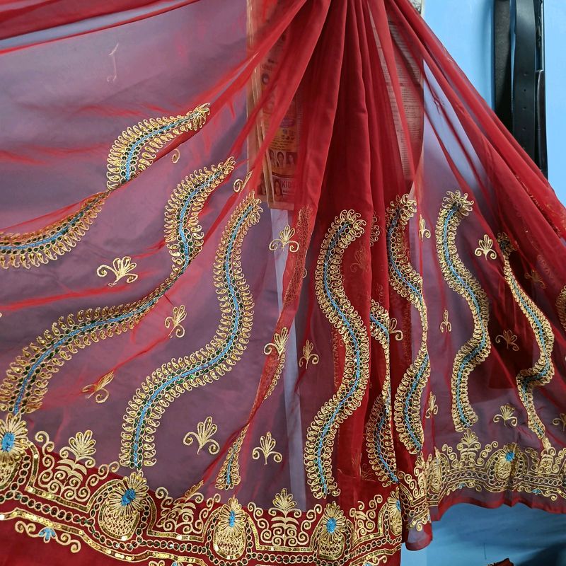 Beautiful red saree with work