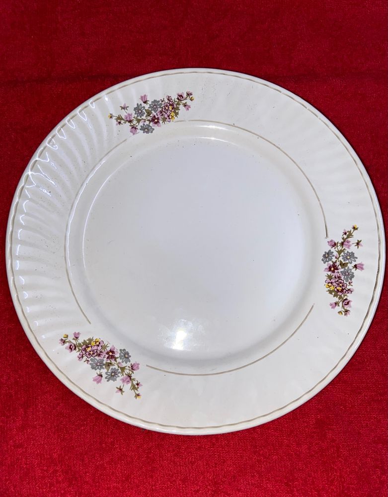 Dinner Plate