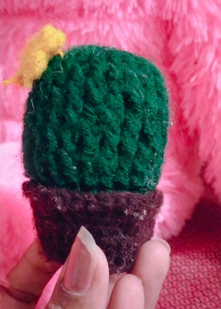 Humble Hooks-Crochet Cute Cactus