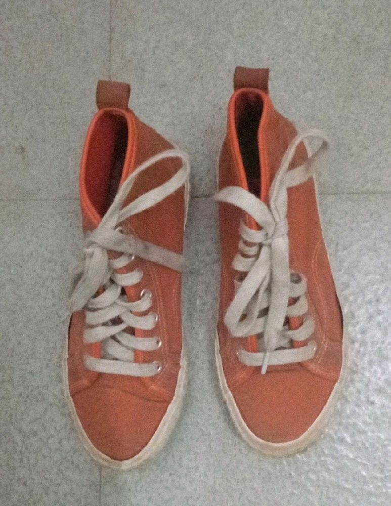 Coral Converse