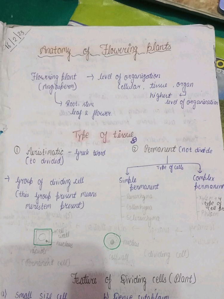 Class 11th Botany Pw Handwritten Notes