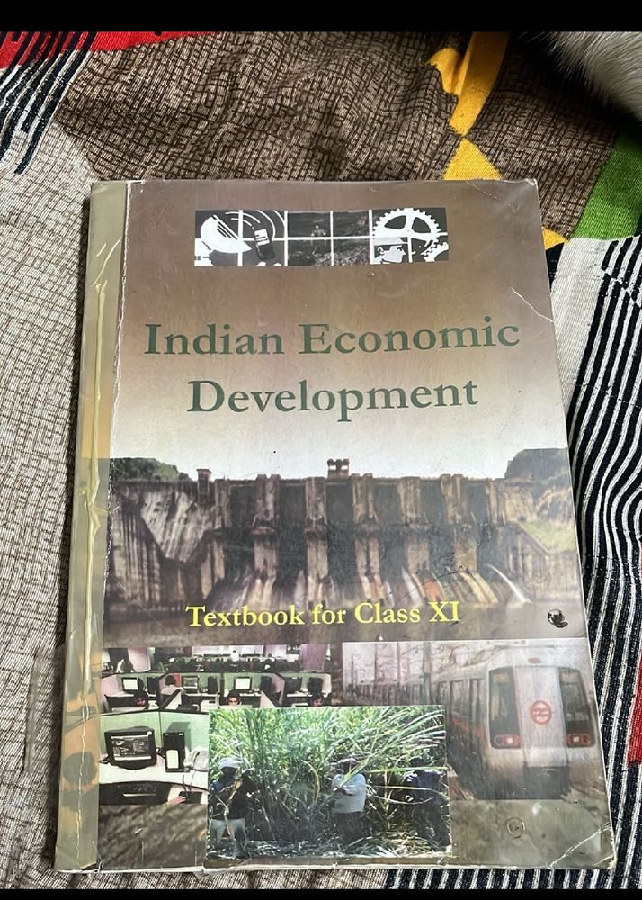 Indian Economic Development (12th)