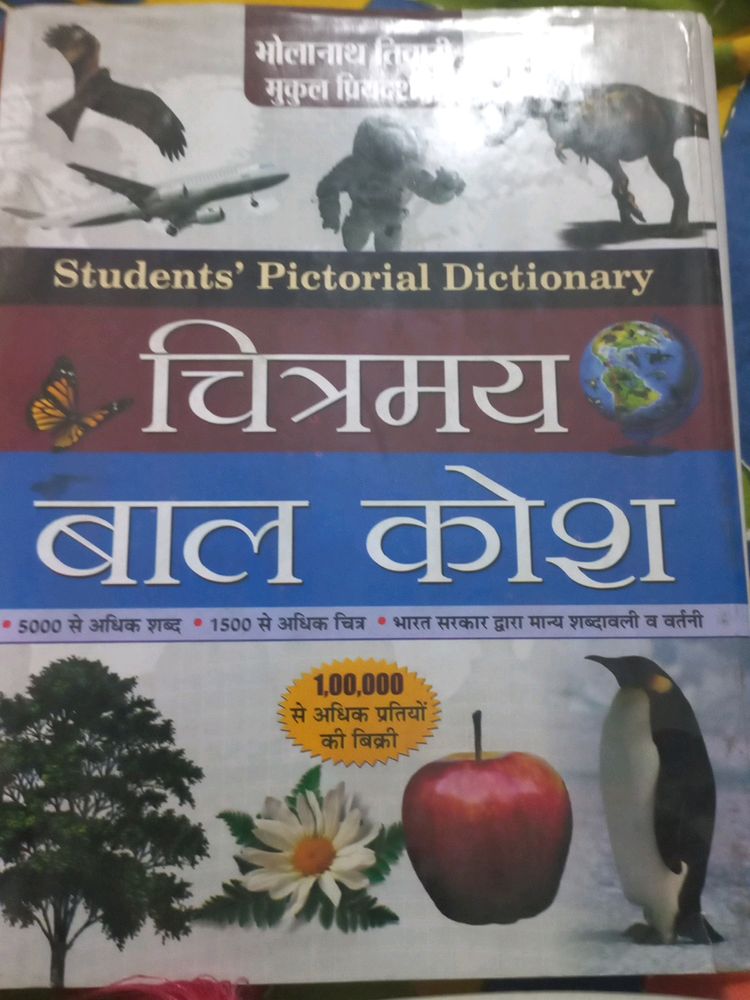 Hindi Dictionary Brand New