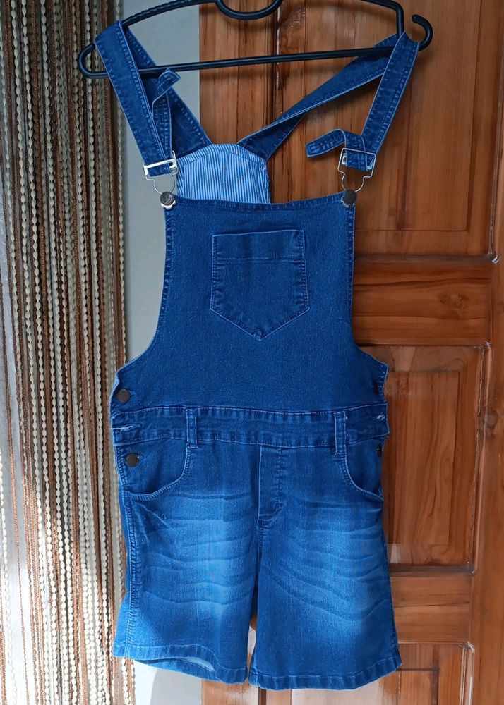 Jumpsuit denim (dangri)