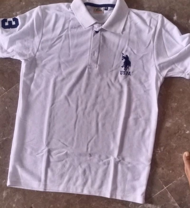 US Polo T Shirt For Men