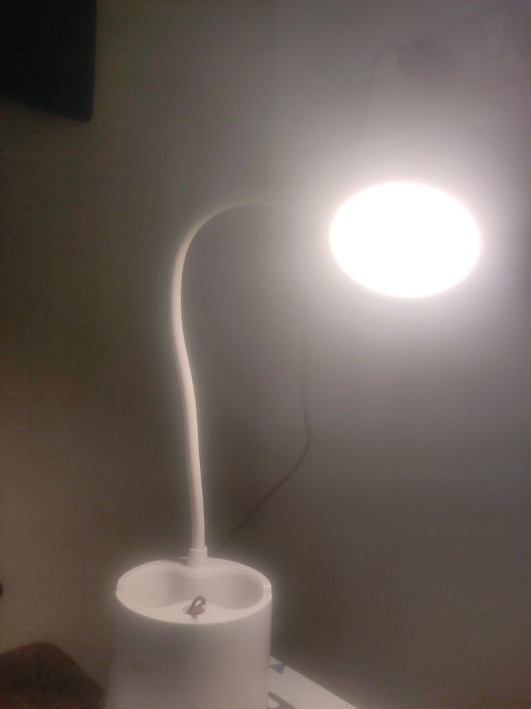 Study Lamp