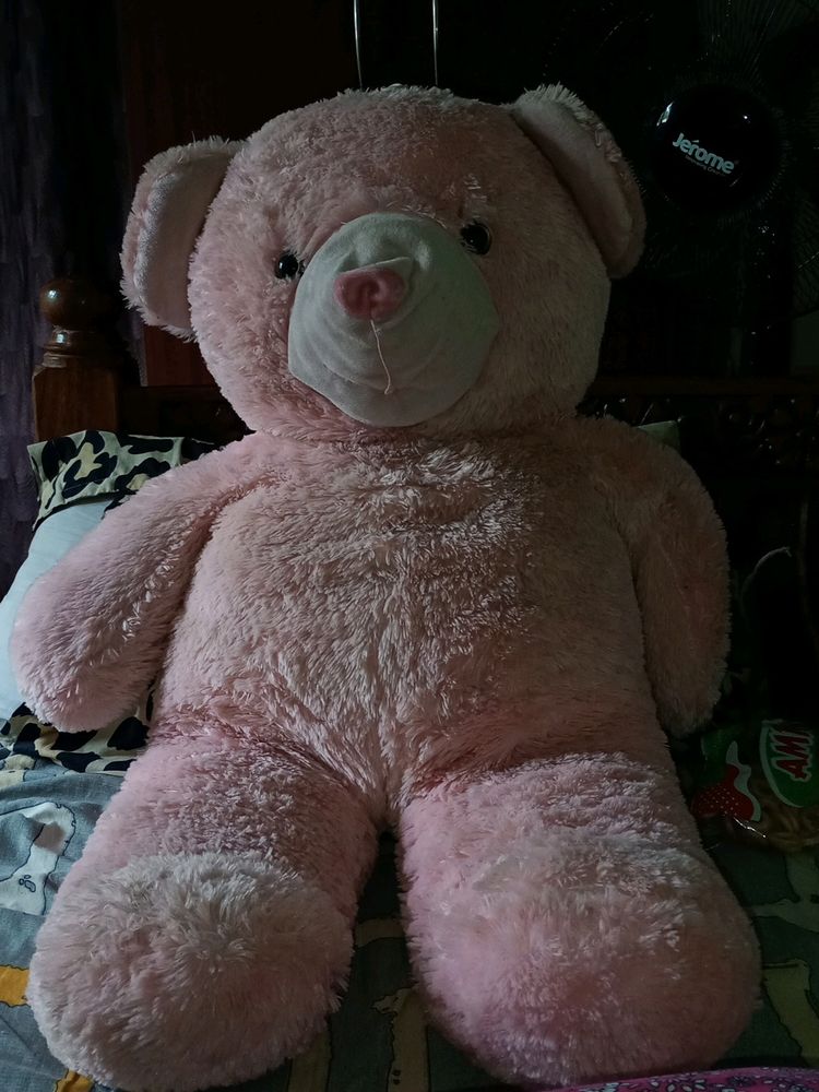 Pink Big Teddy 🫰